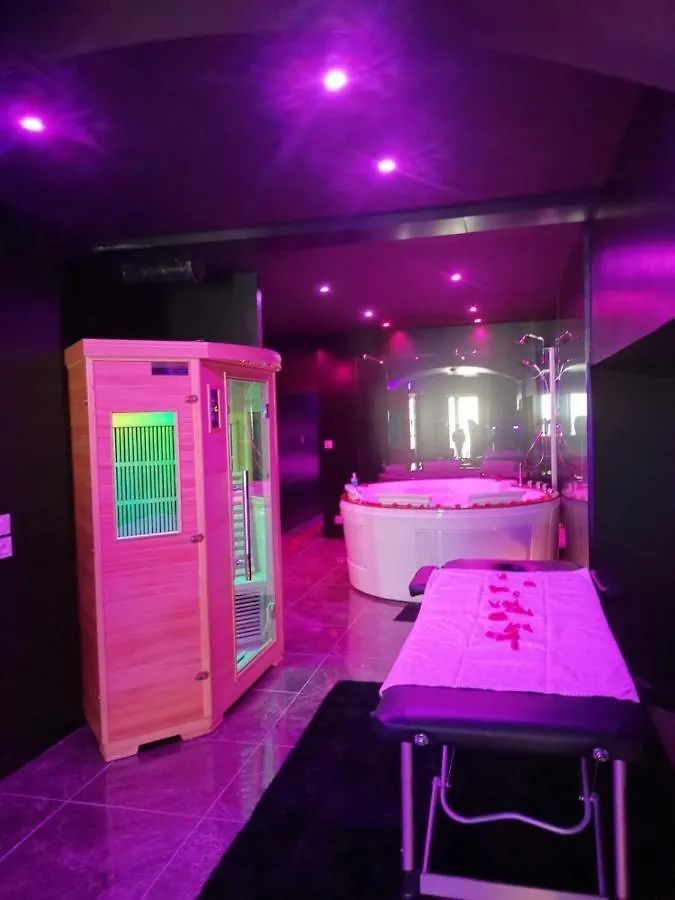 Appartement La Suite Marylin, Loft de 75m2 avec Sauna et Jacuzzi Riom France